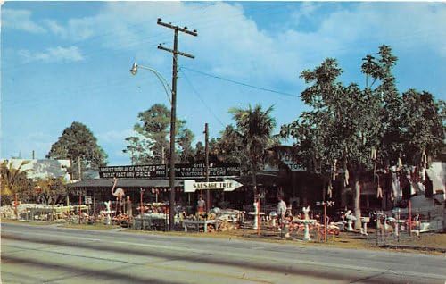 Güney Miami, Florida Kartpostalı
