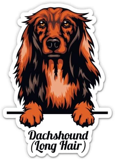 Dachshund Uzun Saçlı Etiket-3 laptop etiketi - Araba, Telefon, Su Şişesi için Su Geçirmez Vinil-Dachshund Köpek Çıkartması
