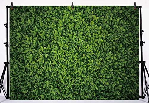 Allenjoy 7x5ft Kumaş Yeşil Yapraklar Duvar Zemin Fotoğrafçılık için Çim Floordrop Resim Arka Plan Bahar Parti Zemin Dekor