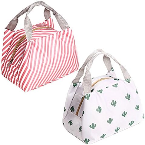 HappyDaily 2 Set Sevimli Kullanımlık Öğle Yemeği çantası Su Geçirmez yemek taşıma çantası Öğle Yemeği tutucu Fermuarlı saklama