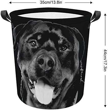 Siyah Labrador Köpek çamaşır sepeti Sepet Çanta Çamaşır Kutusu saklama çantası Katlanabilir Uzun Kolları ile