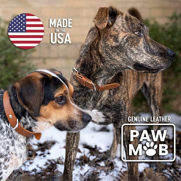 PawMob Premium Hakiki Deri köpek tasması (ABD'de üretilmiştir), 2 D Halkalı Yumuşak ve Esnek Tam Tahıllı Deri, X-Small Küçük