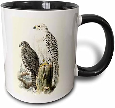 3dRose Beyaz Gyrfalcon Gyr Falcon Yırtıcı Kuşlar Vintage Art Falconry Kuş Kupaları (kupa-365454-9)