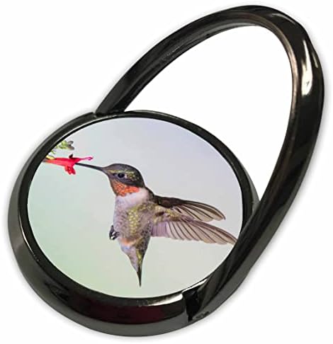 3dRose Yakut Boğazlı Sinek Kuşu Uçuşta Besleniyor. - Telefon Çalar (phr-368390-1)