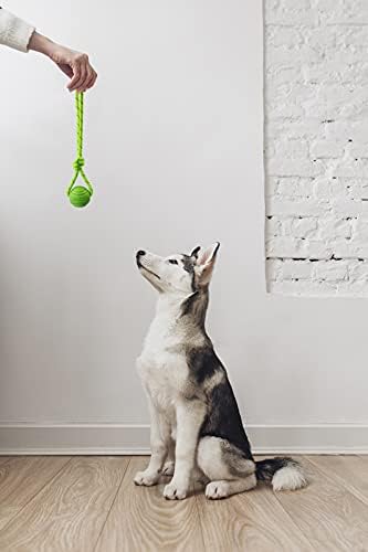 Vitalili Köpek Eğitim Topu Bir Halat üzerinde Kauçuk Köpek Halatı Oyuncak Top Savaş Römorkörü için Saplı Belçika Malinois