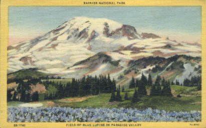 Rainier Ulusal Parkı, Washington Kartpostalı