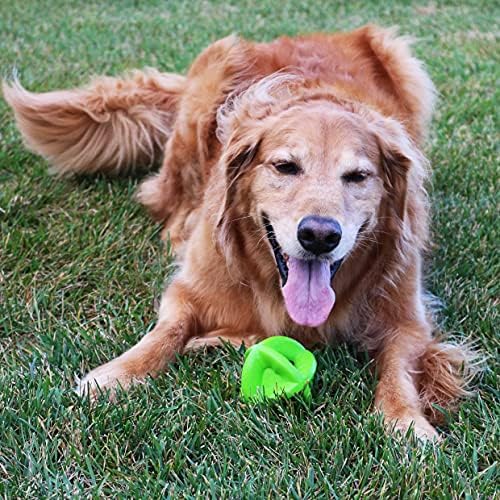 Snuggle Puppy Bounderz-Can Sıkıntısını Gidermek için İkramlar Ekleyin-Kovalamak ve Almak için Eğlenceli olan Dayanıklı 3,5