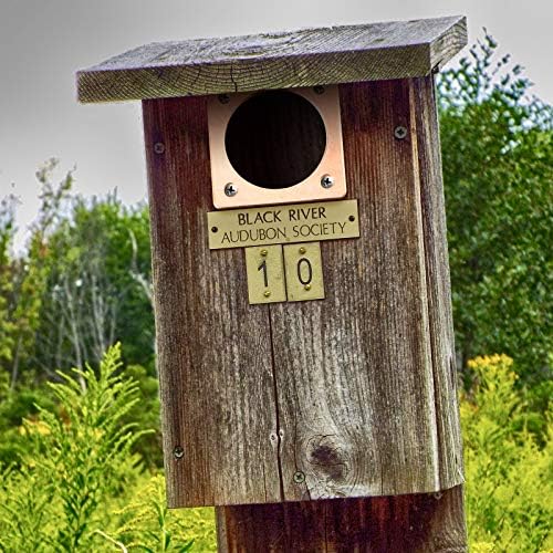 Doğu Mavi Kuş Evleri için Metal Portal Kuş Evi Koruma Bakır Portalı 1 Açılış (6, 1,5 inç)